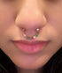 Indian multi nose rings