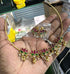 Lotus Hasli Necklace with Earrings